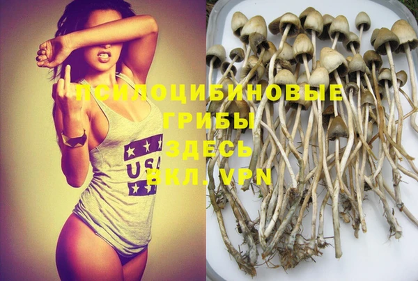 ECSTASY Алексеевка