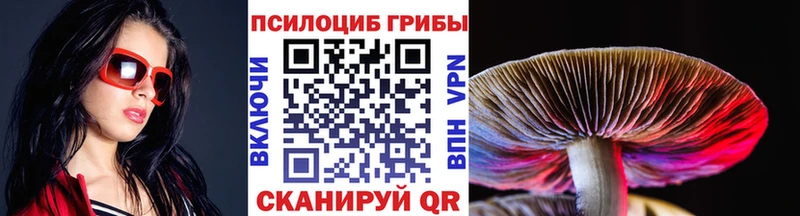 KRAKEN ONION  Новосибирск  Галлюциногенные грибы ЛСД 